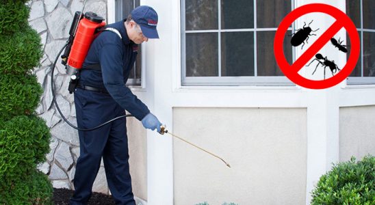 Doğanşar Böcek İlaçlama böcek ilaçlama ve haşere kontrolü — ilaclama-tr.com